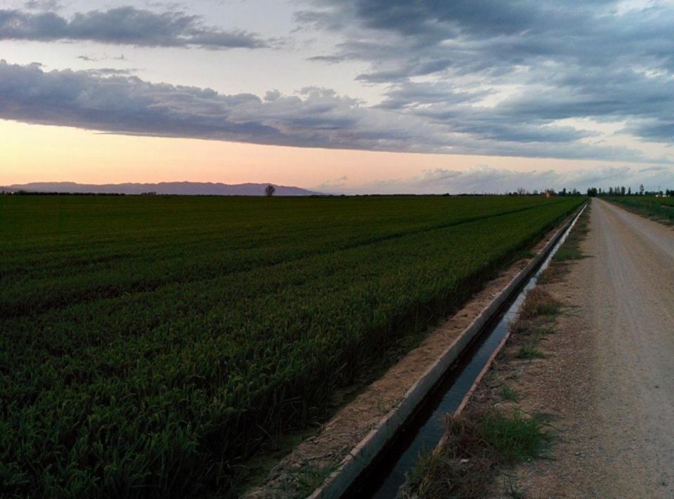 Caseta Manigotxa Deltebre Exteriér fotografie